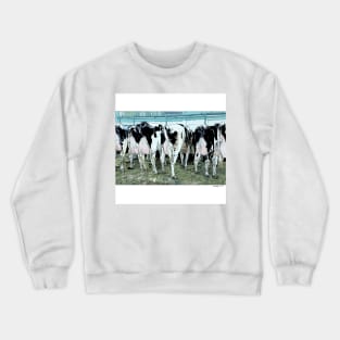 Cows Crewneck Sweatshirt